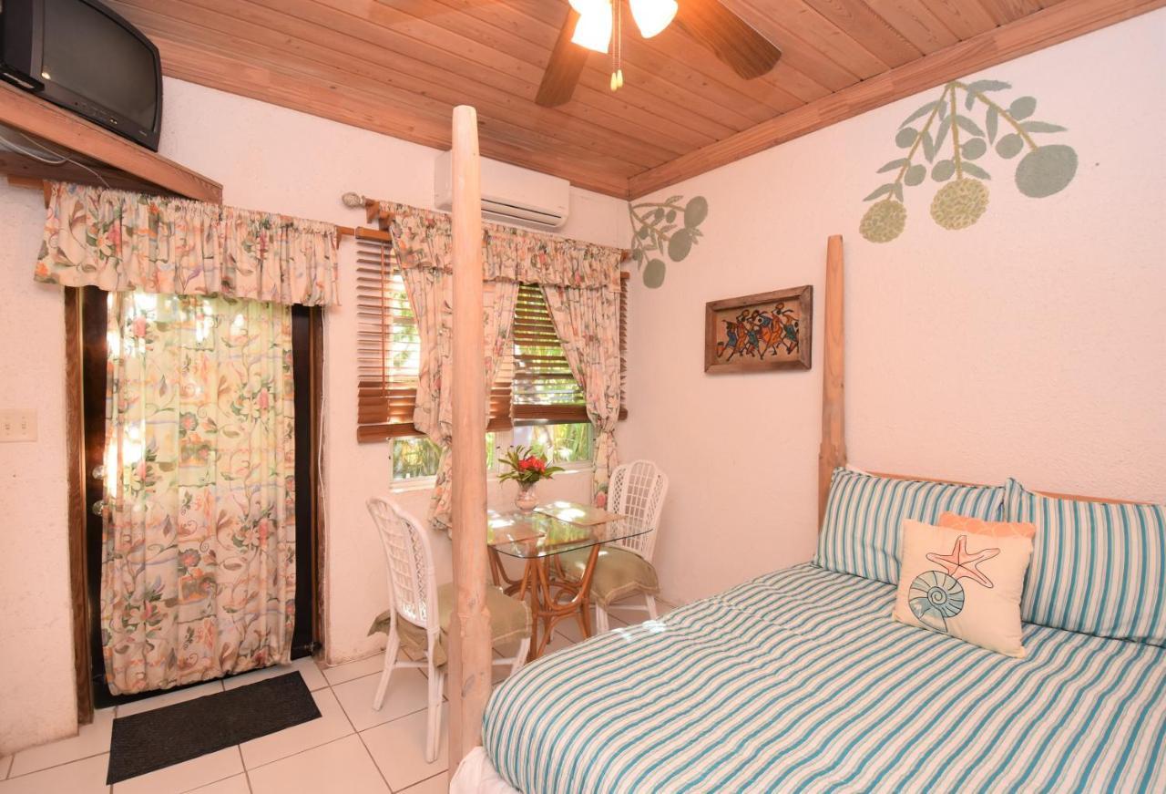 The Sugar Apple Lodging Dunmore Town Exterior photo